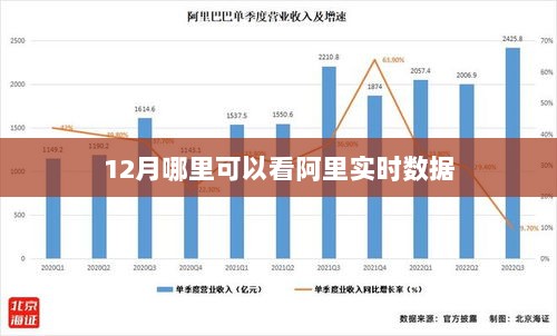 阿里实时数据查询地点推荐，12月热门观测渠道