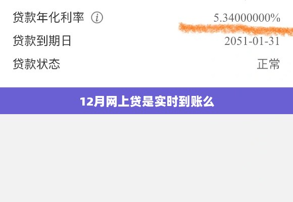 12月网上贷款实时到账情况解析