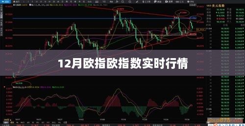 最新欧指行情分析，实时动态及趋势预测