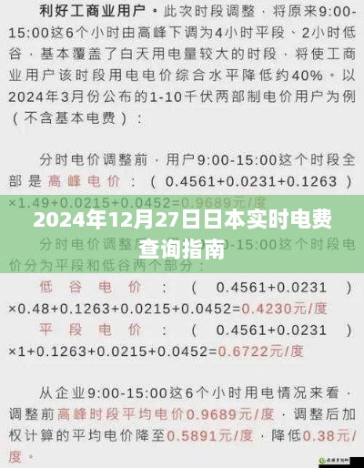 2024年日本电费实时查询指南，12月27日更新