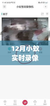 12月小蚁实时录像，冬日生命的活力记录