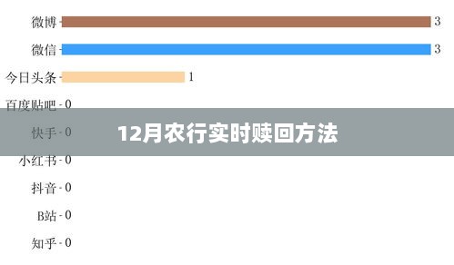 农行十二月实时赎回指南