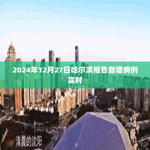 哈尔滨实时报告，新增病例动态更新至XXXX年XX月XX日