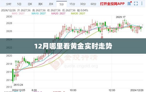 黄金实时走势查询，最新行情尽在十二月动态