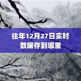 历年12月27日数据实时存储位置解析