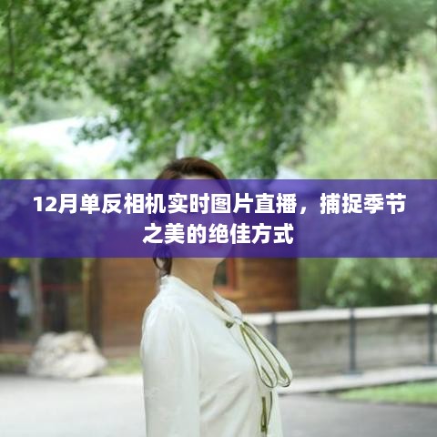 12月单反相机直播，捕捉季节之美的瞬间