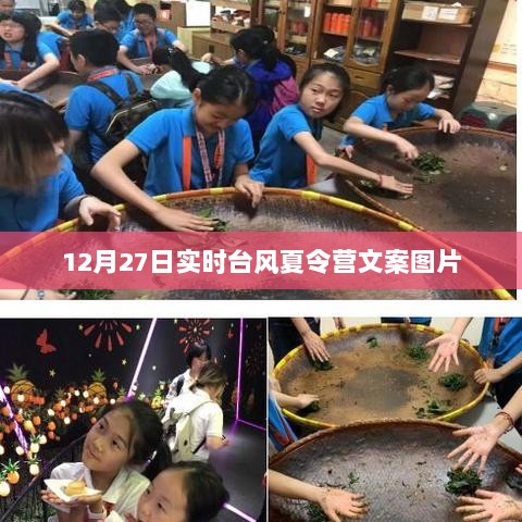 台风夏令营活动文案图片，实时更新，精彩纷呈