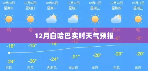 白哈巴村十二月实时天气预报概况