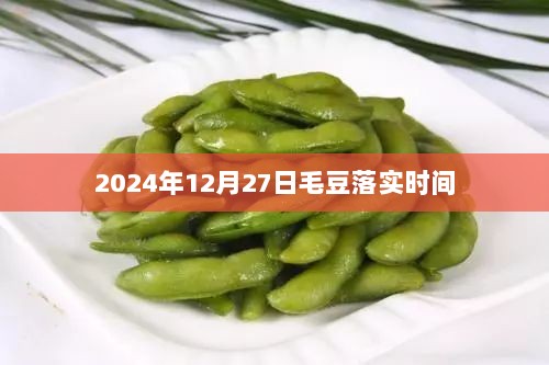 关于毛豆落实时间的最新消息，预计于2024年12月27日实施