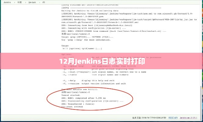 12月Jenkins日志实时跟踪与打印