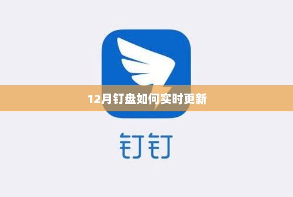 12月钉盘实时更新指南