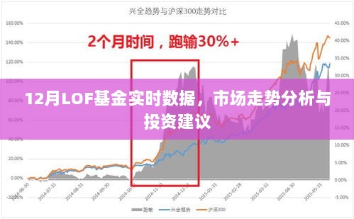 12月LOF基金实时数据解析，市场走势与投资策略