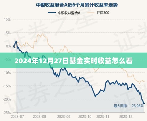 2024年12月27日基金收益查询与实时收益查看指南