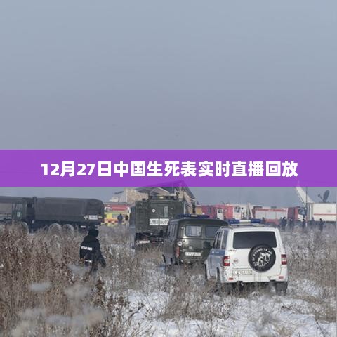 中国生死表直播回放，实时数据解读与探讨