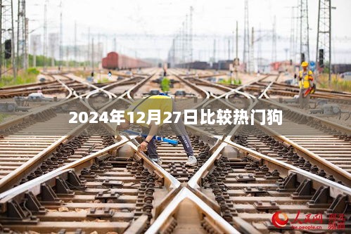 热门狗狗动态，揭秘2024年狗界新星！