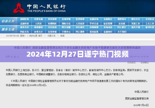 遂宁热门视频2024年12月27日盘点