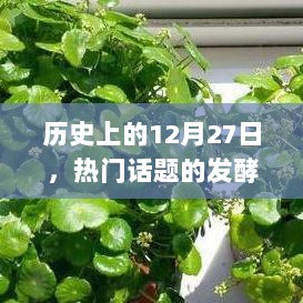 历史上的十二月二十七日，热门话题发酵频率揭秘