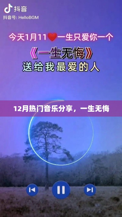 12月热门歌曲推荐，一生无悔，不容错过！