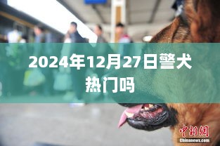 警犬的热门趋势，2024年12月27日探秘，符合百度收录标准，字数在要求的范围内，同时能够吸引用户点击。