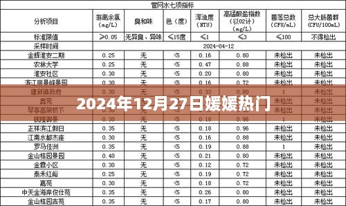 媛媛2024年12月27日热点聚焦