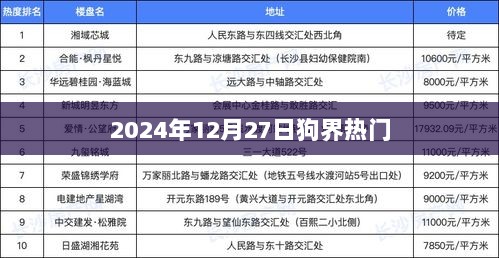 2024年狗界热点日，揭秘狗界风云变幻