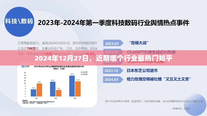 热门行业趋势解析，2024年12月知乎热议行业