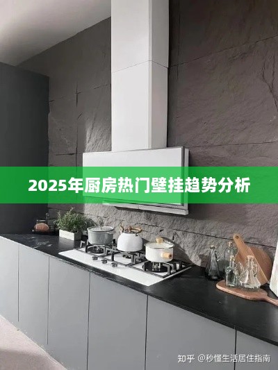 2025厨房壁挂趋势深度解析，未来热门潮流展望