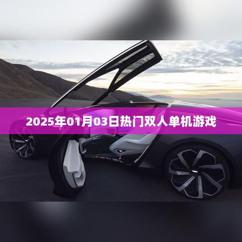 『2025年热门双人单机游戏一览』