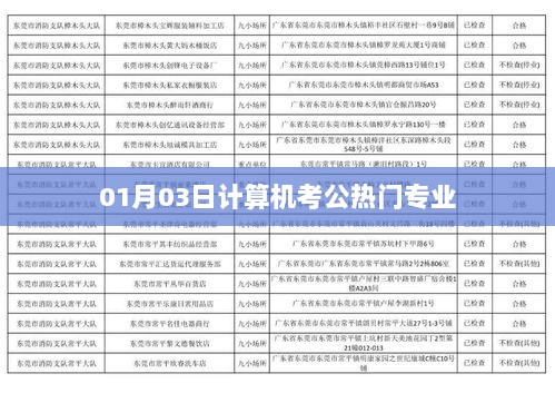 计算机考公热门专业解析及趋势分析