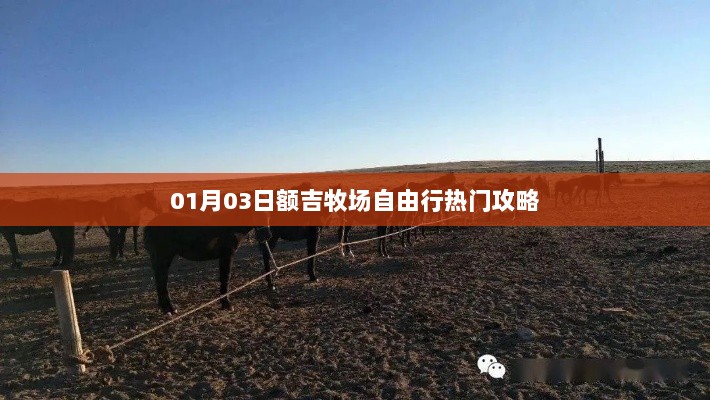 额吉牧场自由行攻略，热门行程推荐（日期，XX年XX月XX日）