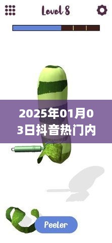 抖音热门内容类型大盘点，2025年1月3日看点