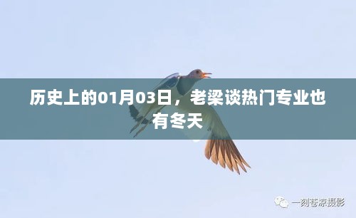 老梁揭秘，热门专业的冬季奥秘，历史日期为1月3日