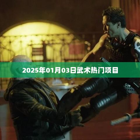 武术热门项目展望，揭秘未来趋势至2025年