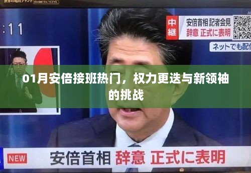 安倍接班热门，权力更迭挑战新领袖之路