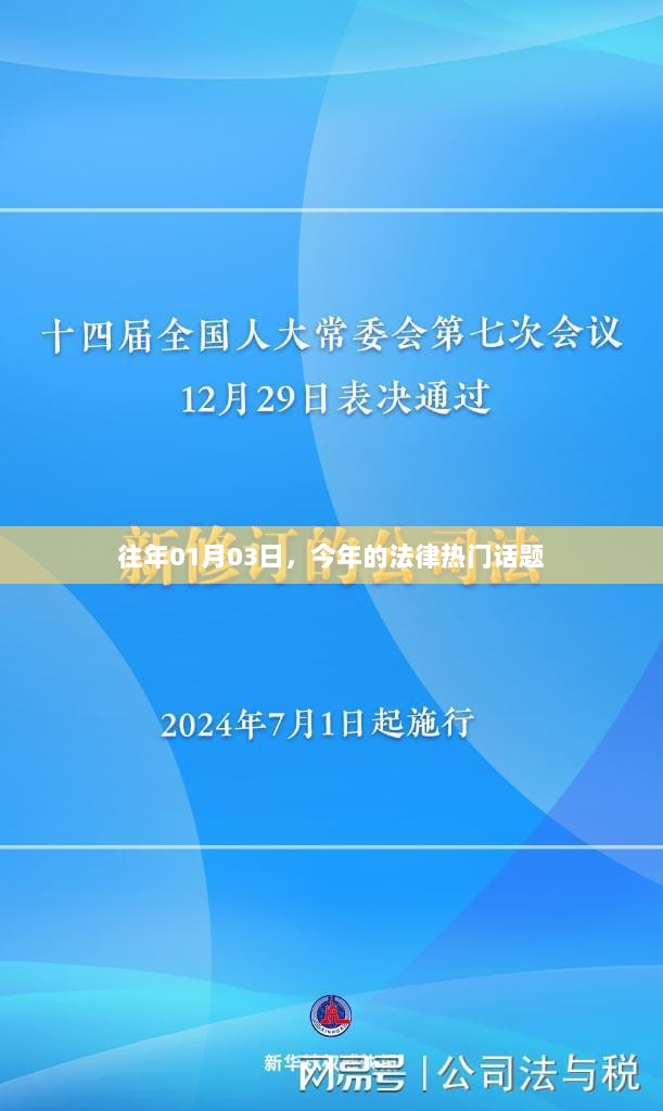 法律热点话题解析，历年趋势及最新动态