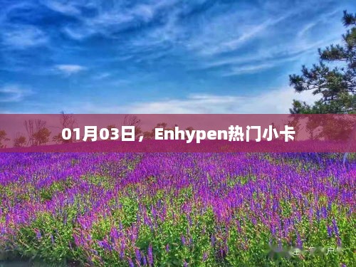 Enhypen热门小卡，最新动态与资讯