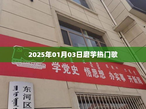 磨芋热门歌单推荐（2025年）