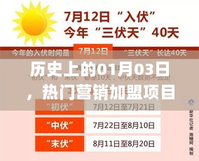 热门营销加盟项目平台发展轨迹揭秘，回望历史，展望未来。，既符合字数要求，又能够很好地概括您提供的内容，同时能够吸引用户点击阅读。