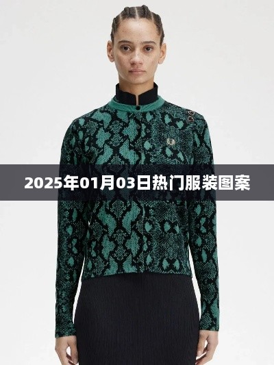 时尚潮流风向标，2025年服装流行图案