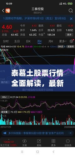 泰慕土股票行情全面解读，最新走势、数据分析与预测