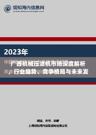 广西机械压滤机市场深度解析，行业趋势、竞争格局与未来发展展望