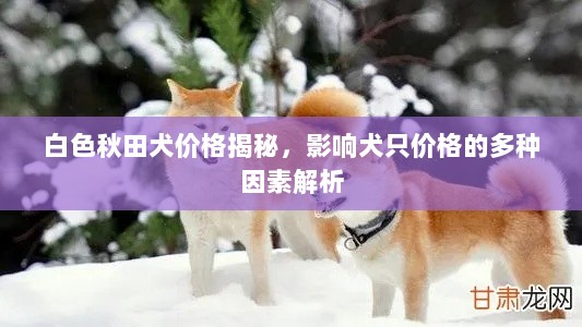 白色秋田犬价格揭秘，影响犬只价格的多种因素解析