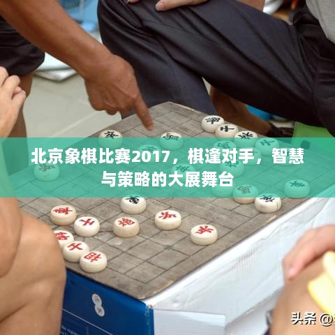 北京象棋比赛2017，棋逢对手，智慧与策略的大展舞台