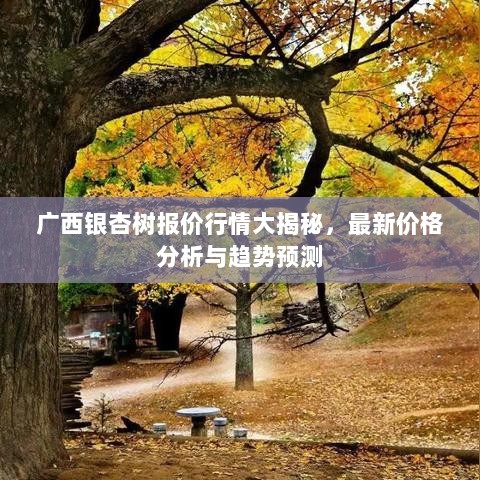 广西银杏树报价行情大揭秘，最新价格分析与趋势预测