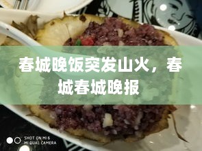 春城晚饭突发山火，春城春城晚报 