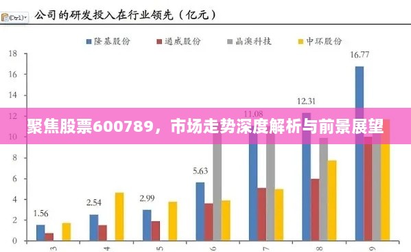 聚焦股票600789，市场走势深度解析与前景展望