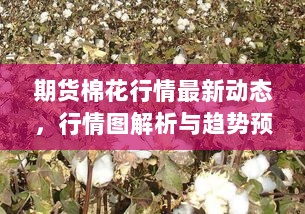 期货棉花行情最新动态，行情图解析与趋势预测