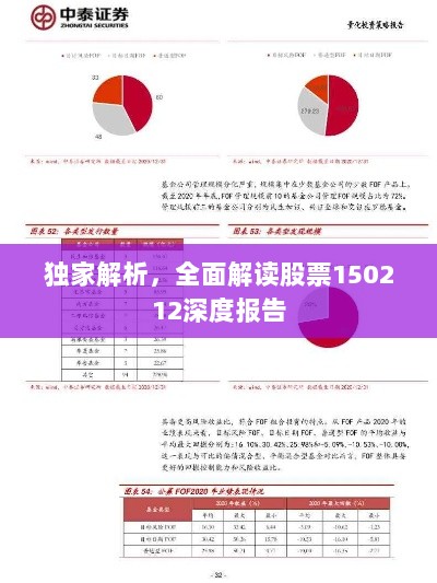 独家解析，全面解读股票150212深度报告