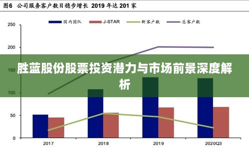 胜蓝股份股票投资潜力与市场前景深度解析