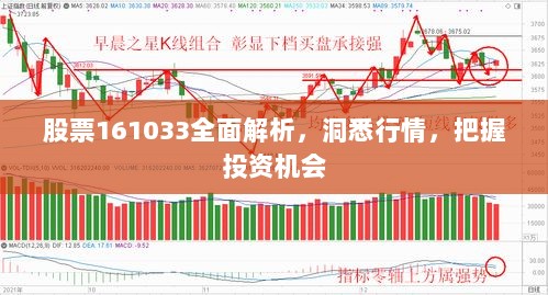 股票161033全面解析，洞悉行情，把握投资机会